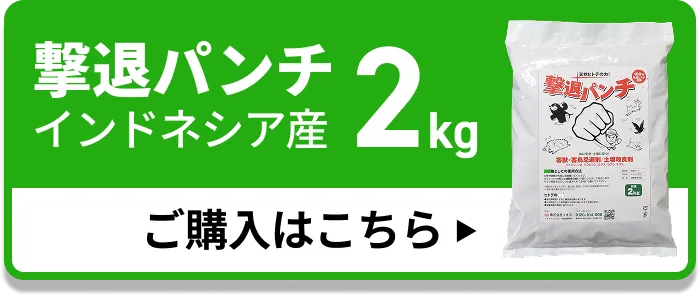 撃退パンチ インドネシア産2kg
