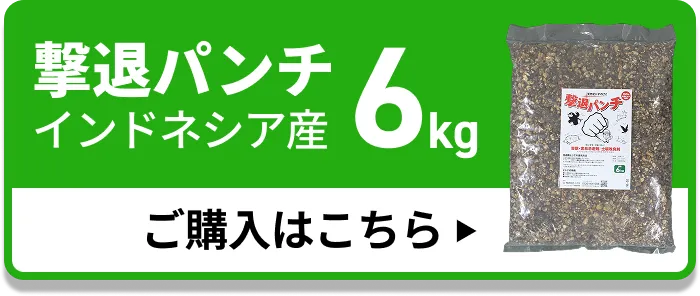 撃退パンチ インドネシア産6kg