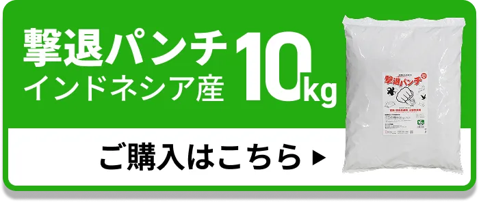 撃退パンチ インドネシア産10kg