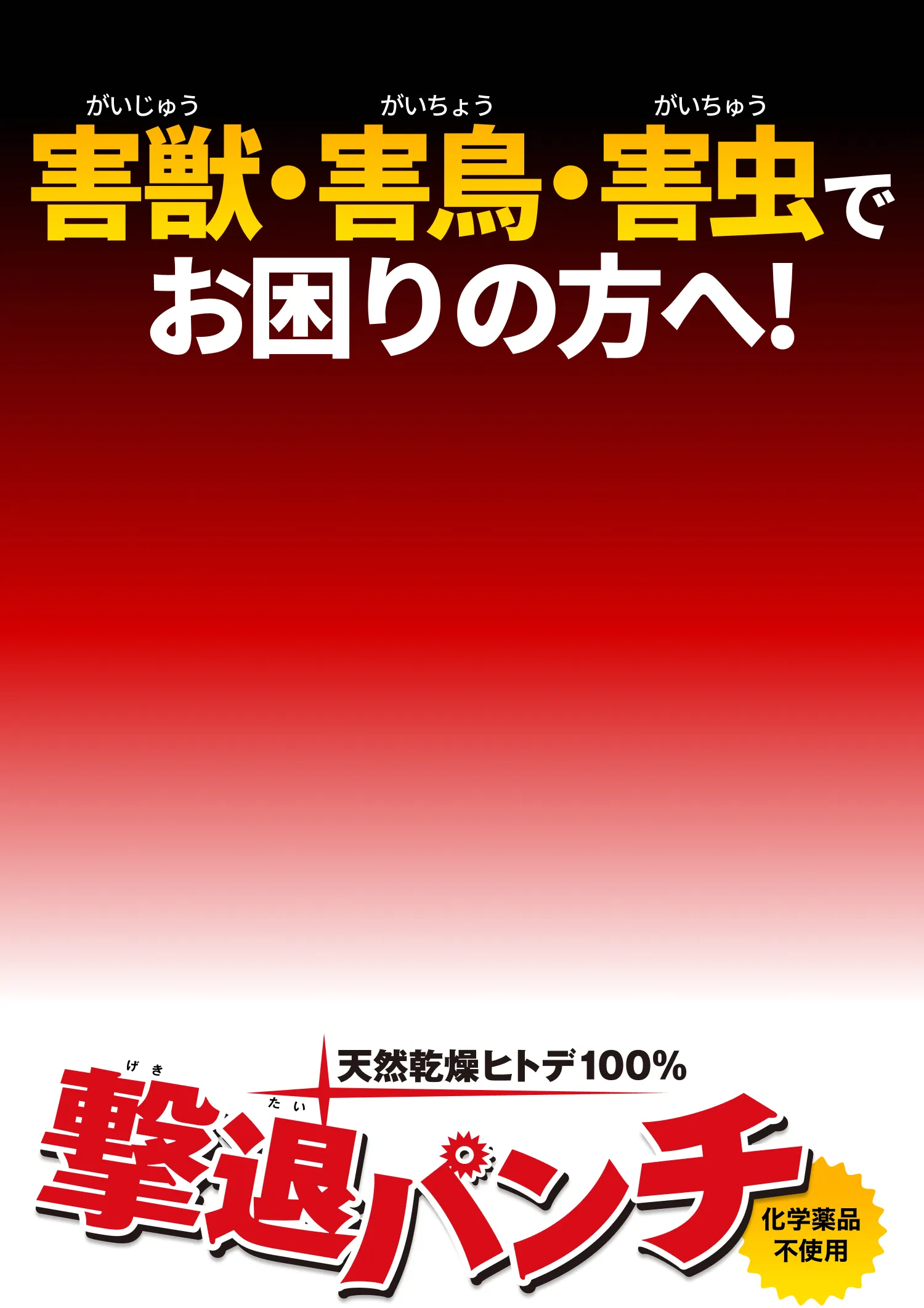 害獣・害鳥・害虫でお困りの方へ！